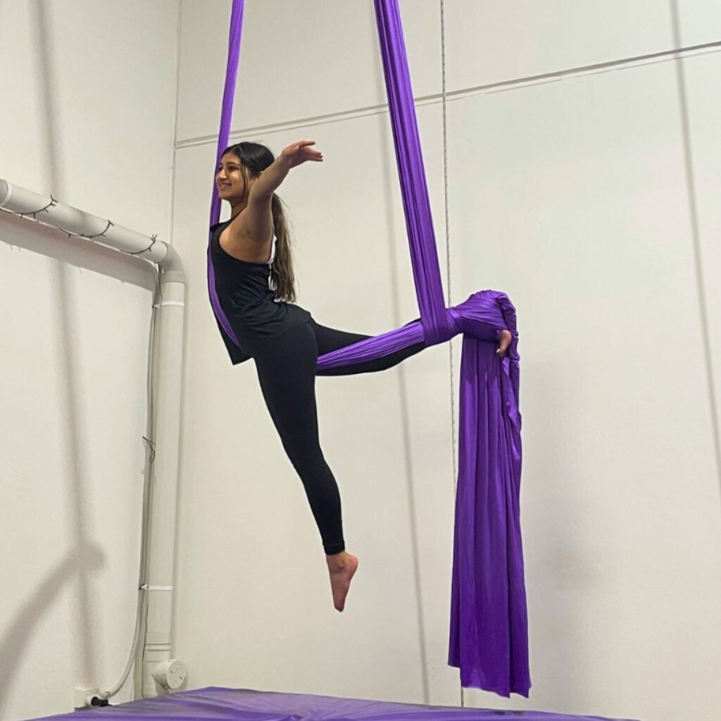 aerial silks