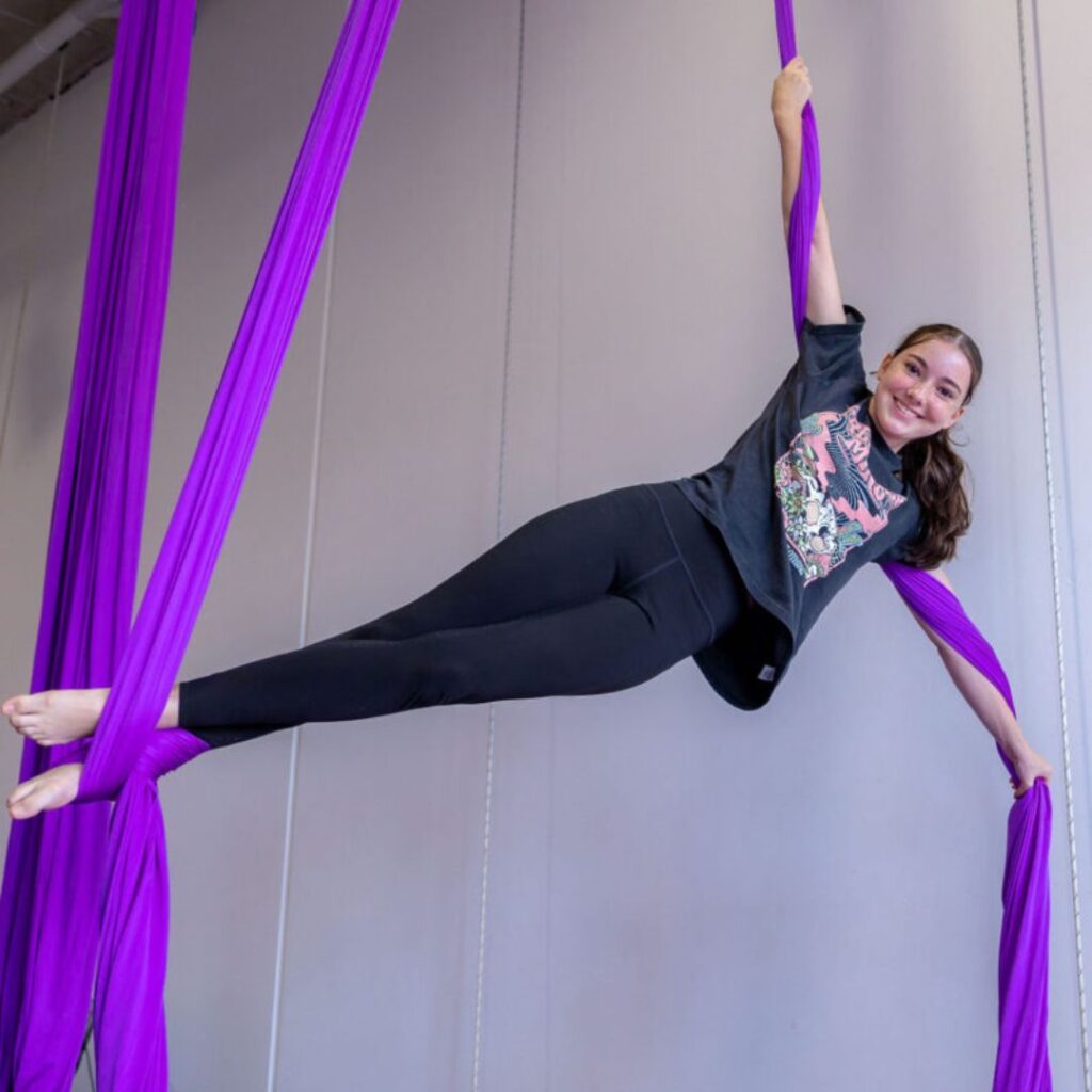 aerial silks